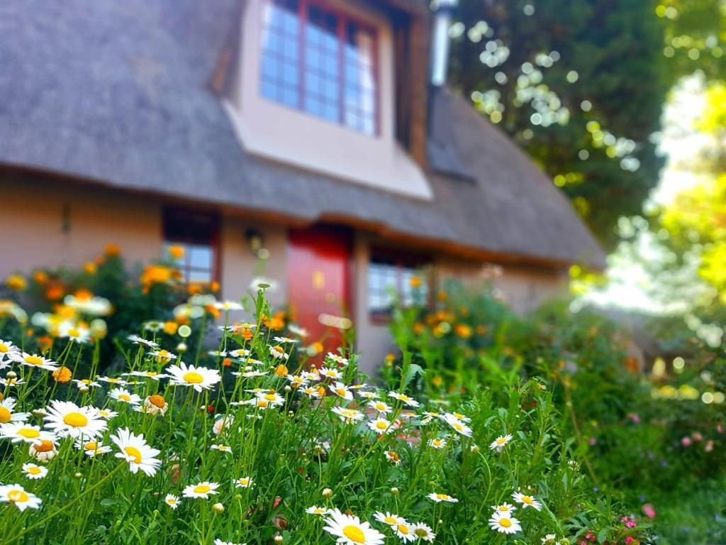 Granny Mouse Country House & Spa Balgowan Ngoại thất bức ảnh